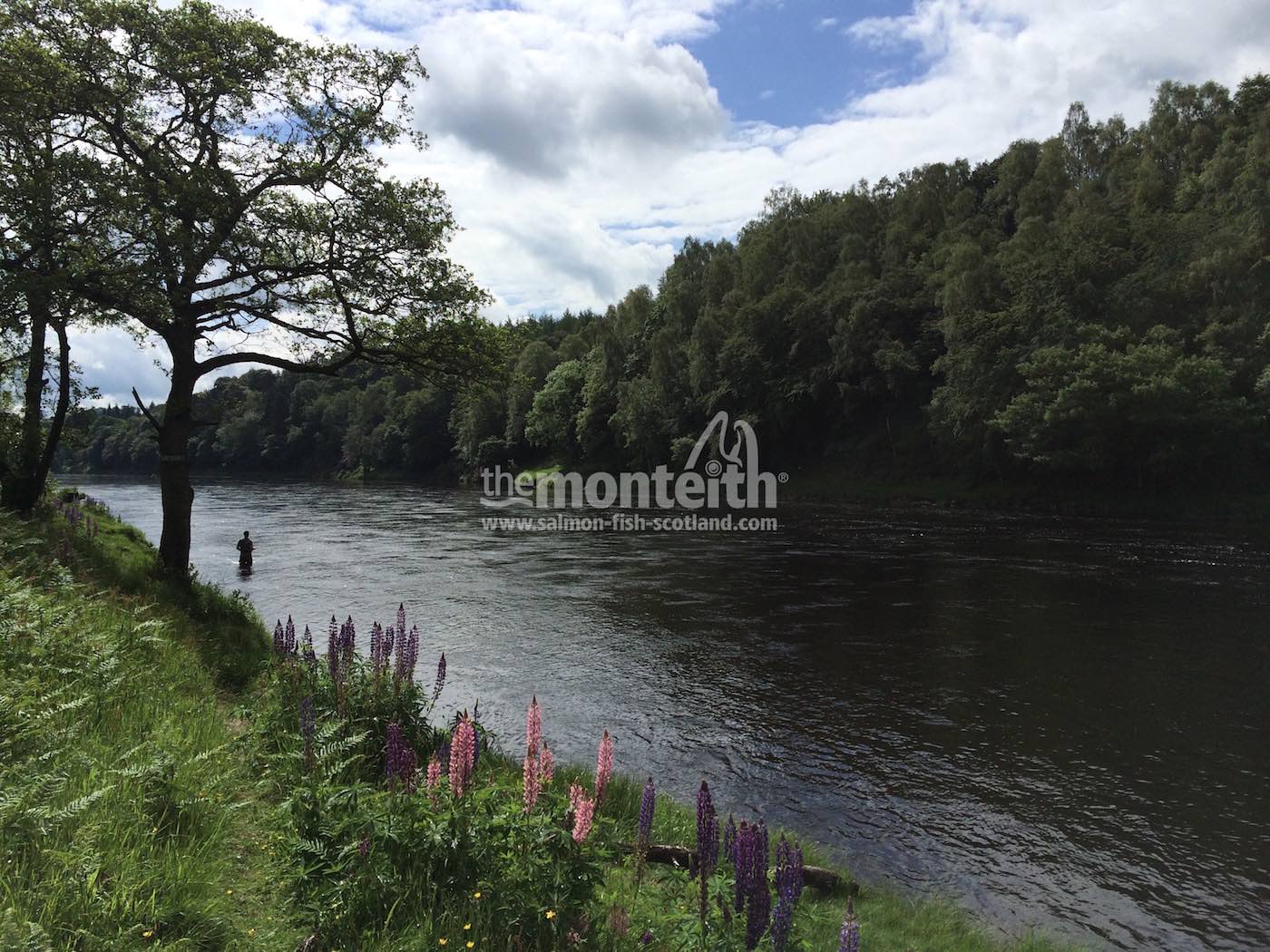 Newtyle Beat River Tay