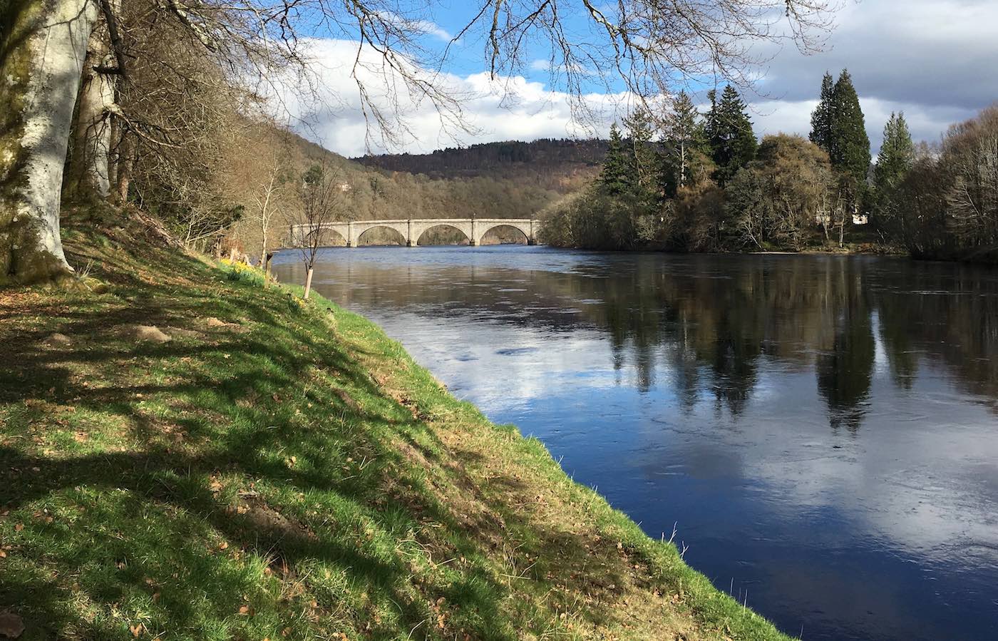 This is the Gauge Tree salmon pool on the Dunkeld House Beat of the River Tay. This is a popular fishing destination for salmon fishing trip guests due to the easily fishable riverbanks you can see and the close proximity of Dunkeld which is just to the left hand side of the Telford Bridge you can see in the distance,.