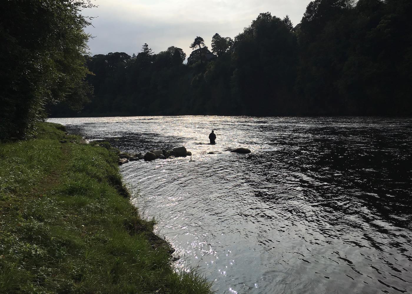 This is the Horsey Pool on the River Tay's Pitlochrie salmon fishing beat near Stanley. This fisher was on a salmon fishing trip from the USA when I took this downstream shot as his salmon fly fishing guide as he approached the hot spot at the tail of the pool which is directly below his position here.