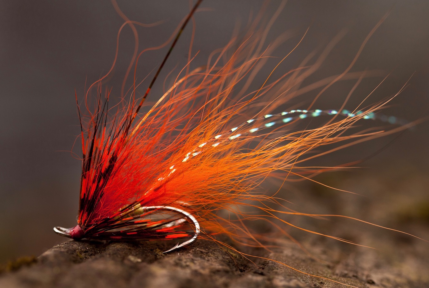 This salmon fly was carefully designed by myself while working as a professional River Tay salmon fishing guide. Here are the exact dressings if you'd like to tie this deadly salmon fly pattern; Hook: 1