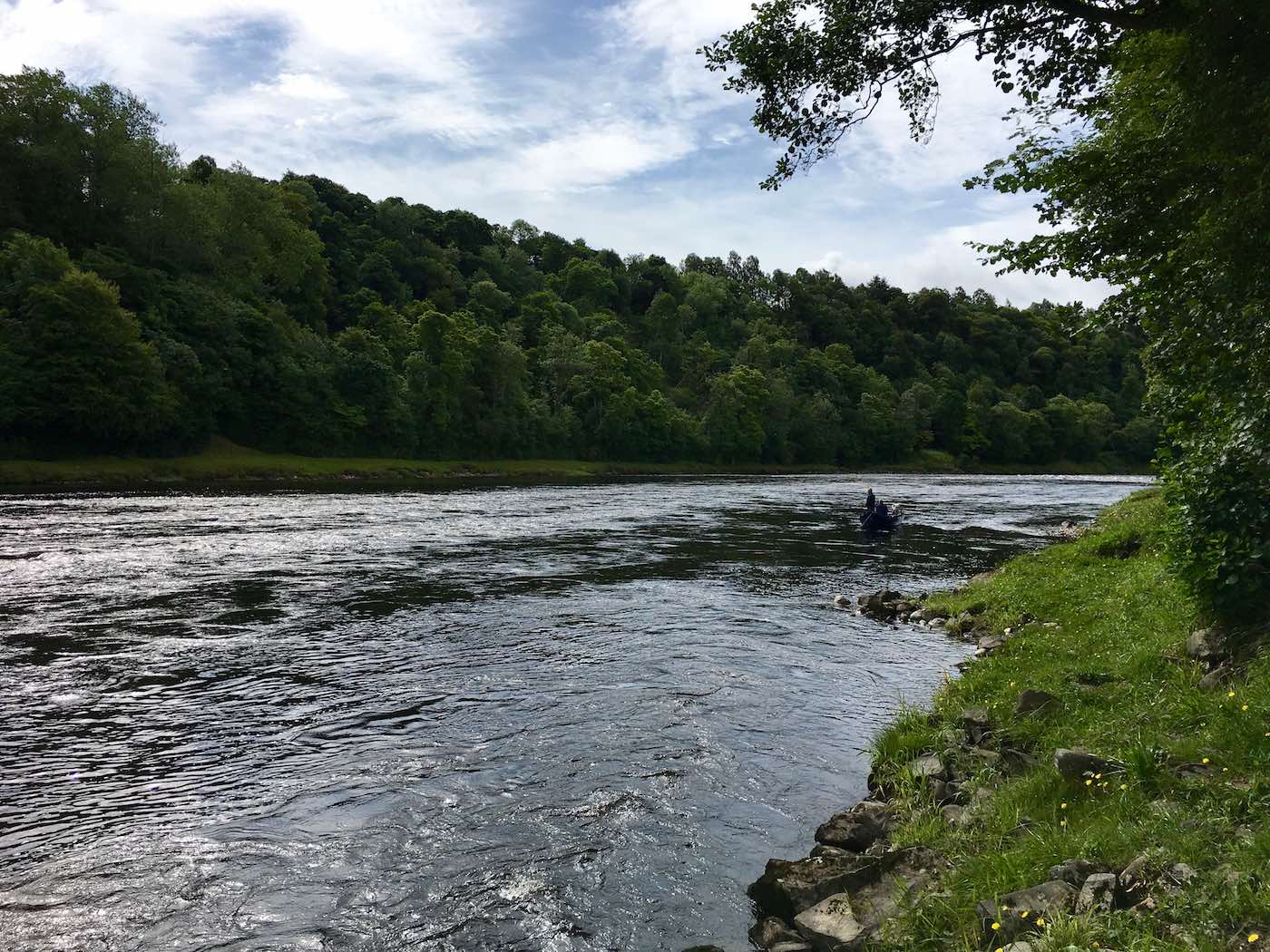 Here's a downstream shot of the River Tay on the Benchil salmon beat near the Perthshire village of Stanley.