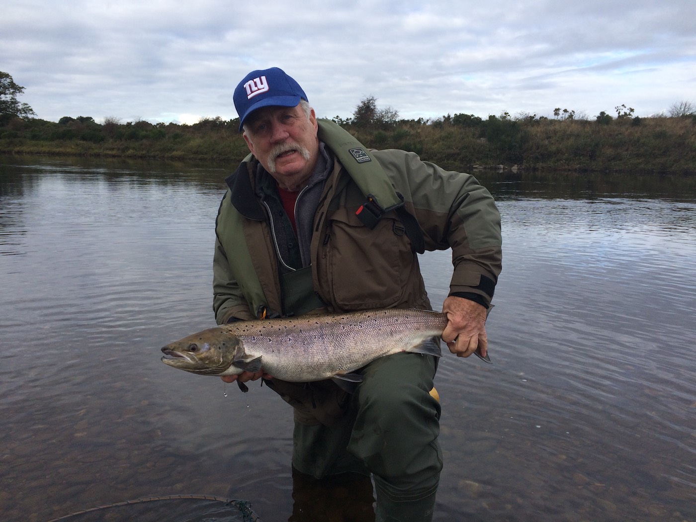 This was one of 2 salmon caught by 2 salmon fishing holiday guests who drove from Switzerland in a red Ferrari sports car to fish the River Tay with me. This fish was caught on a spinner and the other fish the landed was caught on a fly.