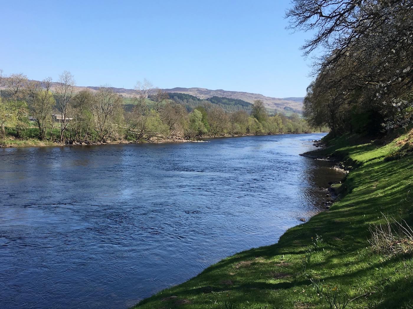 Here's a lovely River Tay salmon Pool known as Daffodil Lie which is a salmon fishing hotspot that's formed by a sub surface pile of riverbed stones that you can clearly see the surface disturbance from in this photograph. Salmon love to hold up in here and can be frequently caught by anglers who know this salmon lie and how to fish it. As a salmon fishing guide and tactical fishing instructor I know only too well the potency of this River Tay salmon lie hot spot..