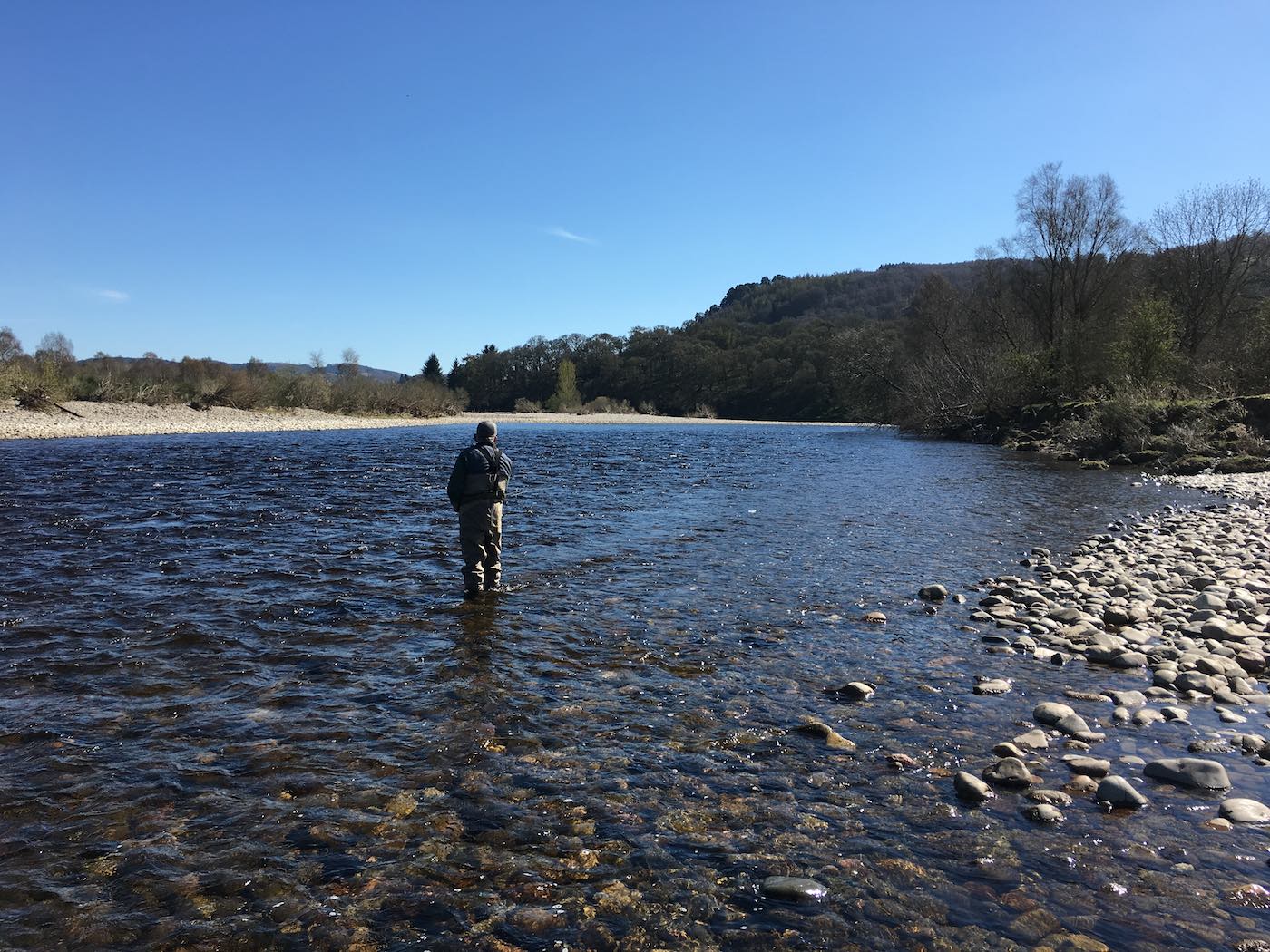 Look at the nice streamy water that starts to fade out 100 yards downstream of where this River Tay salmon fishing holiday fisherman is positioned. Salmon will briefly stop there before pushing on up through the streamy water above. Now you'll start feeling like you can sense the presence of salmon once you can identify their likely holding areas.
