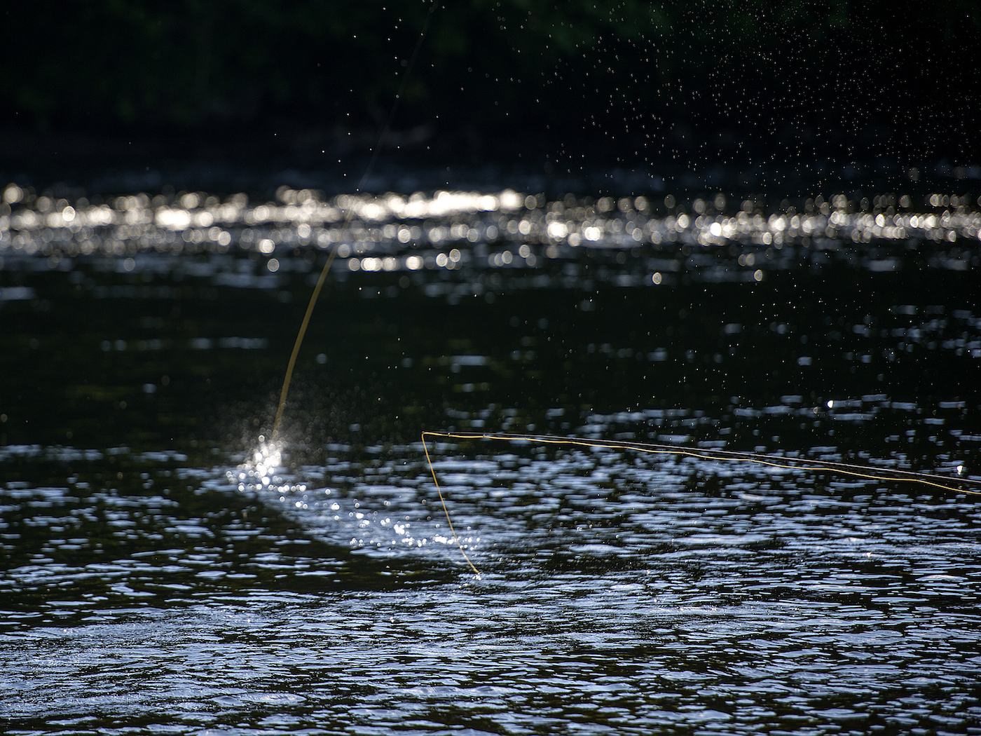 Here's a Spey casting error that can be easily rectified under the supervision of a professional salmon fishing guide. This type of splash down normally occurs when the salmon angler throws the rod at the river on the power stroke instead of stopping the rod high. Our salmon fishing casting lessons can quickly fix this common salmon fly rod casting error.