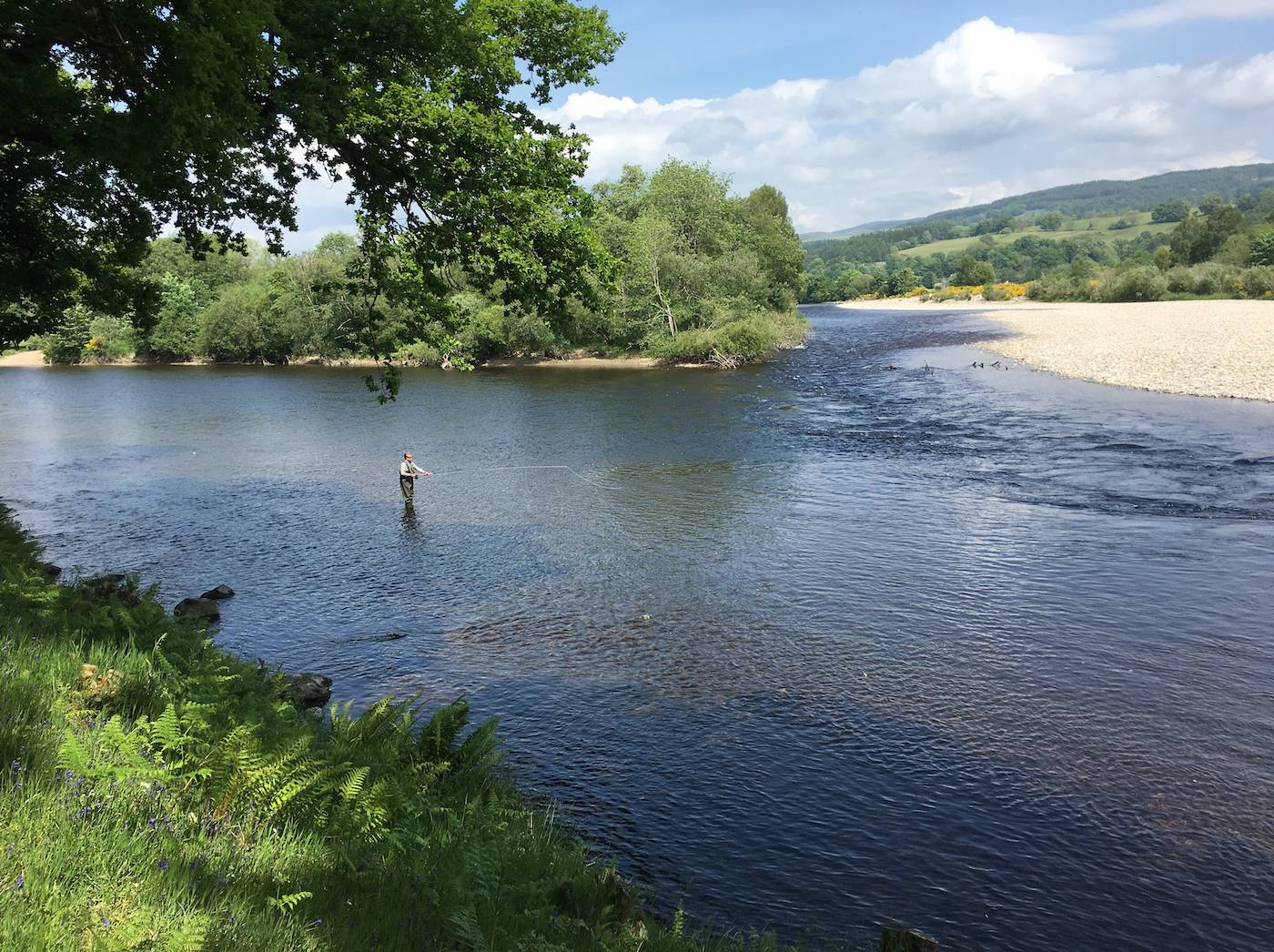 Here's the most perfect River Tay salmon pool where the River Tummel meets the Tay. This has always been a great area for catching salmon on a fly. Located between the Perthshire towns of Pitlochry & Dunkeld this area is fairly easy to access from all major Scottish cities making it a must for any visiting salmon fishing trip guests. This salmon fisher was being guided by one of our salmon fishing guide team members who captured this lovely shot of the occasion.