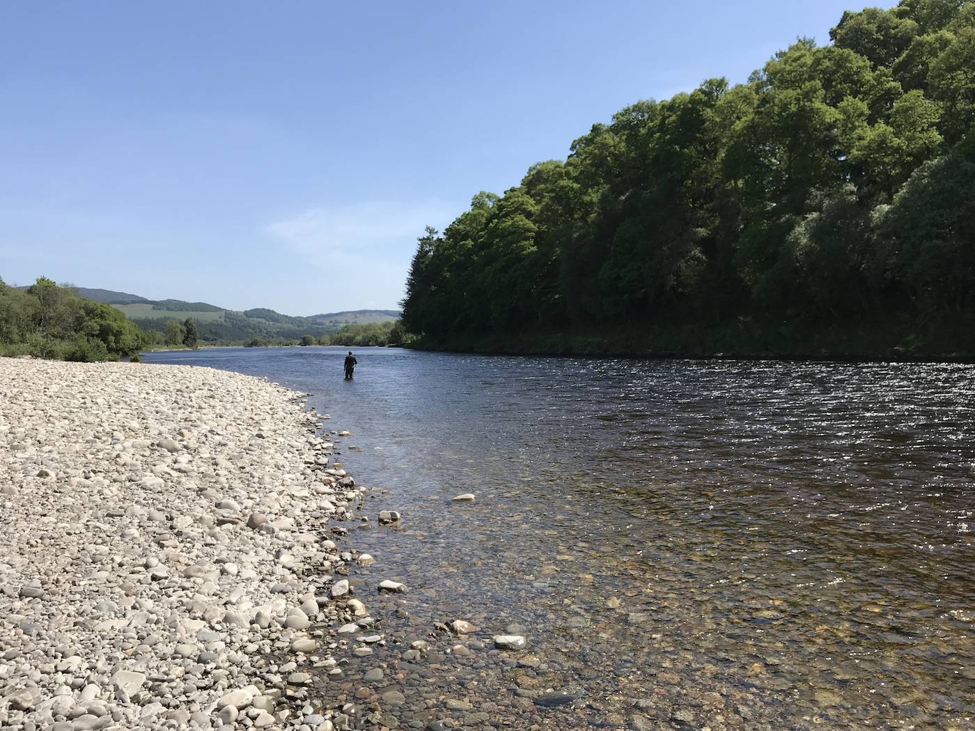 Exactly where this River Tay salmon fisher is positioned is a very good salmon lie as the stream slows up here and deep water begins so perfect for resting salmon to hold up in. This is the Meetings Pool tail at Kinnaird which is between the Perthshire towns of Pitlochry & Dunkeld. The angler is a salmon fishing guide team member from Monteith guided salmon fishing services.