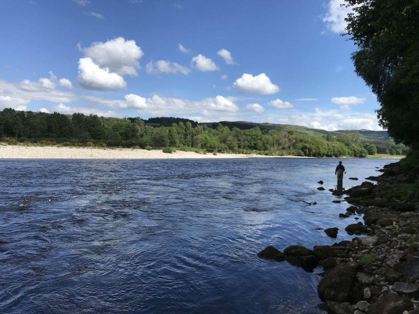 Here's a lovely scene of the right hand bank of the Meetings Pool on the River Tay near Pitlochry. This is a good area of the Tay to catch salmon and many fishers come here each year in pursuit of them with their own salmon fishing guide to make sure they are fishing the pools optimally.