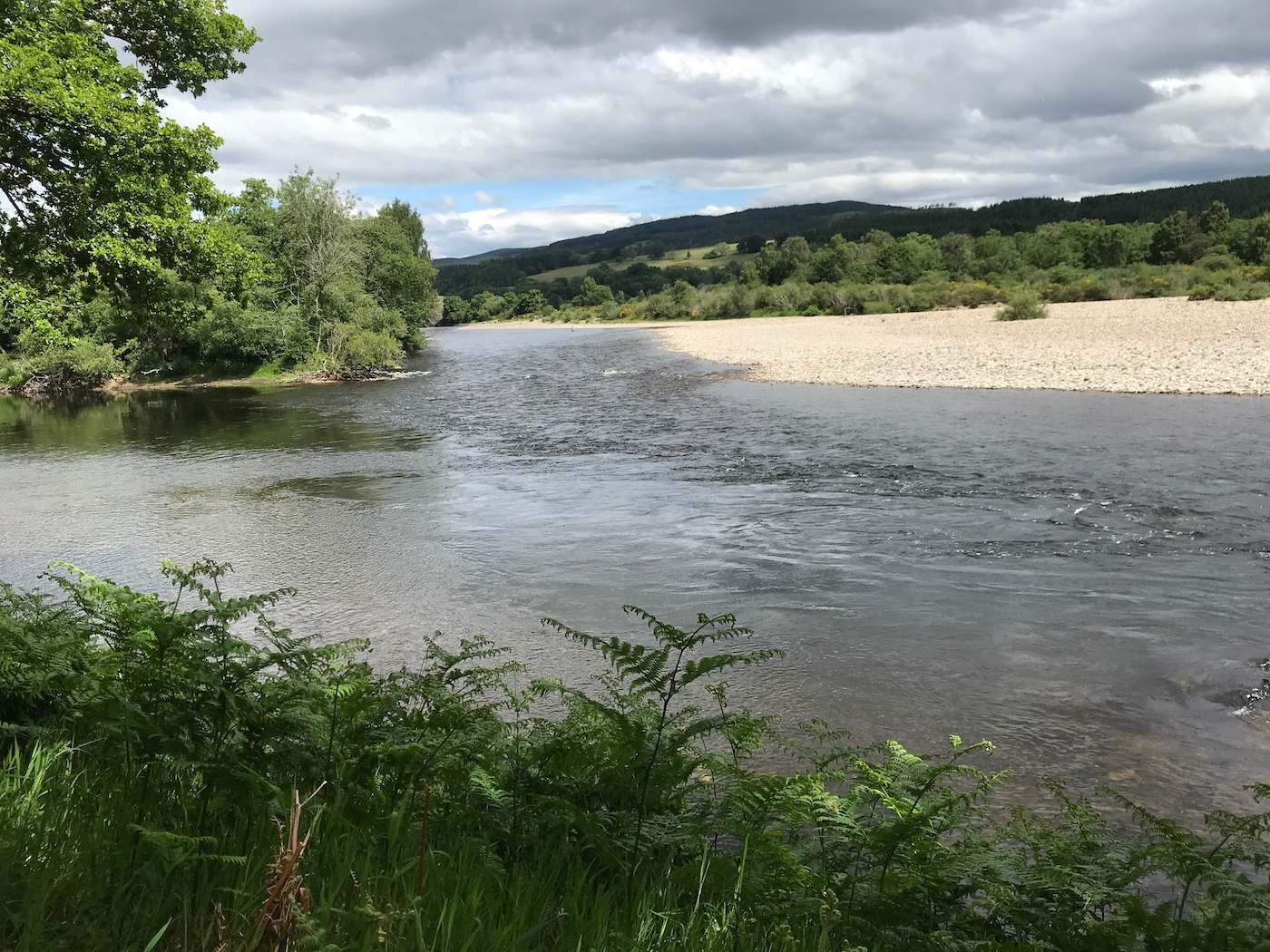 If you're looking for a new pursuit in life here's a lovely salmon pool on the River Tay near Dunkeld. Nothing beats a salmon fishing holiday out on the salmon river pursuing that often elusive Atlantic salmon with a fly rod. This is the mouth of the River Tummel on the Kinnaird salmon beat you can see in the photograph.