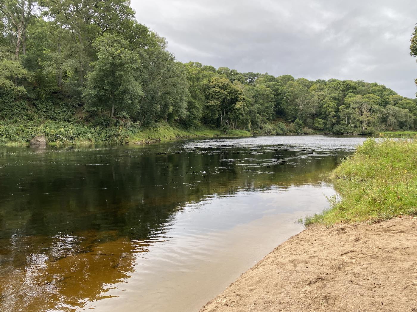 This lovely sand bank on the Rock Pool is deposited here during high water on the River Tummel which joins the Tay a few hundred yards below this location. In high water the Tummel cuts straight through the field to the right of frame. The dark shadowy water you see is prime River Tay salmon holding water.