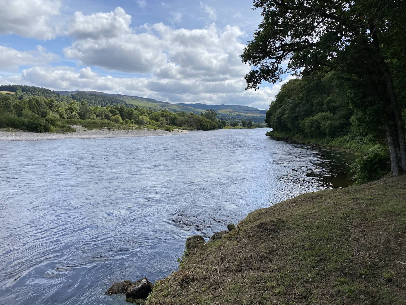 This shot on the River Tay was taken to show the little riffle of water at the side of the river directly in front of this oak tree where running salmon love to stop. A salmon fishing guide recognises these little holding areas on salmon beats of Scotland and will make sure the fishing trip guests cover them frequently during their fishing days.