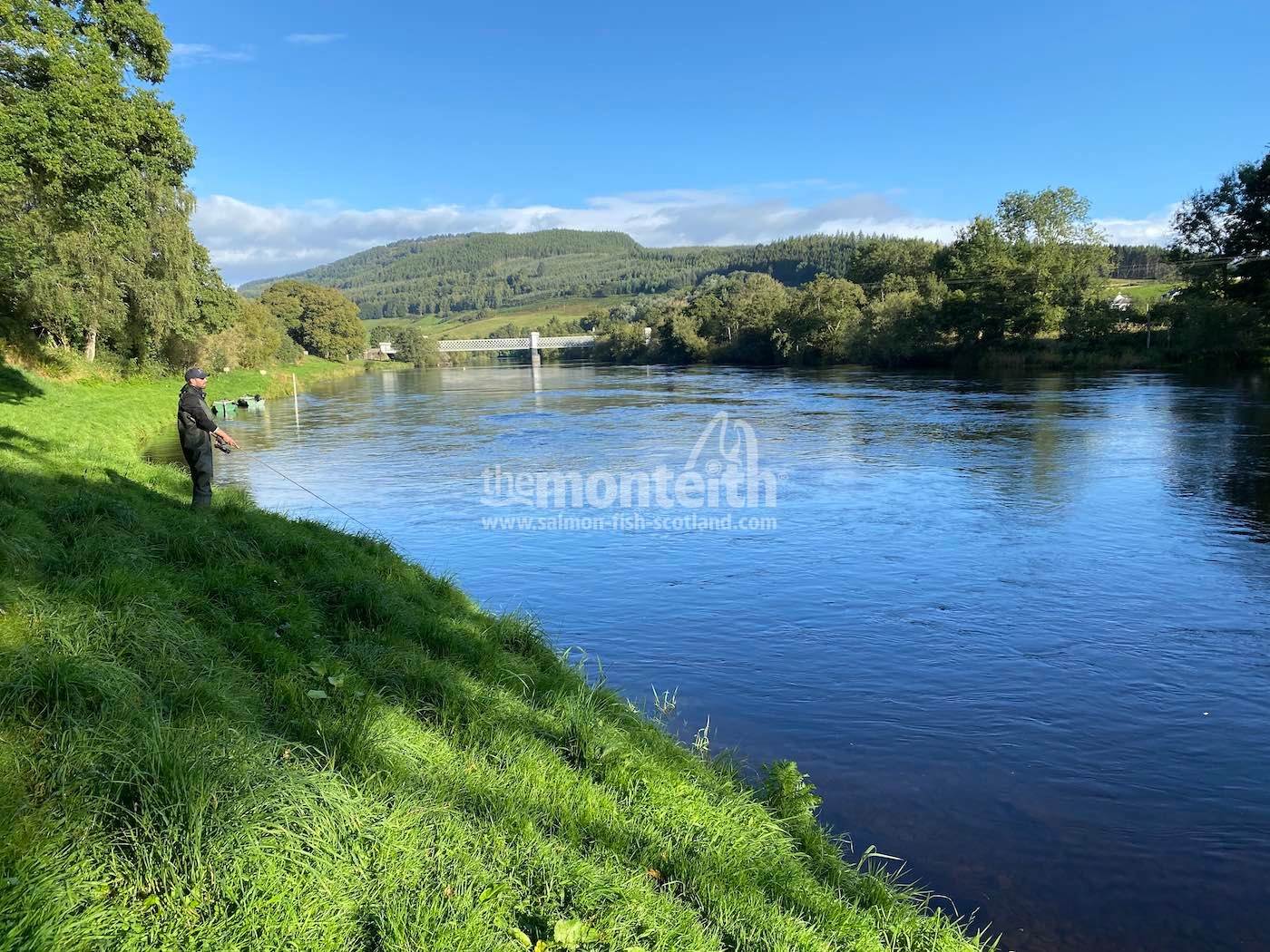This River Tay salmon fishing guide is spinning the River Tay slightly downstream from the old iron Logierait Railway Bridge. This green bank is located at the top of the Channel Pool on the Kinnaird Beat which is a great salmon fishing venue.