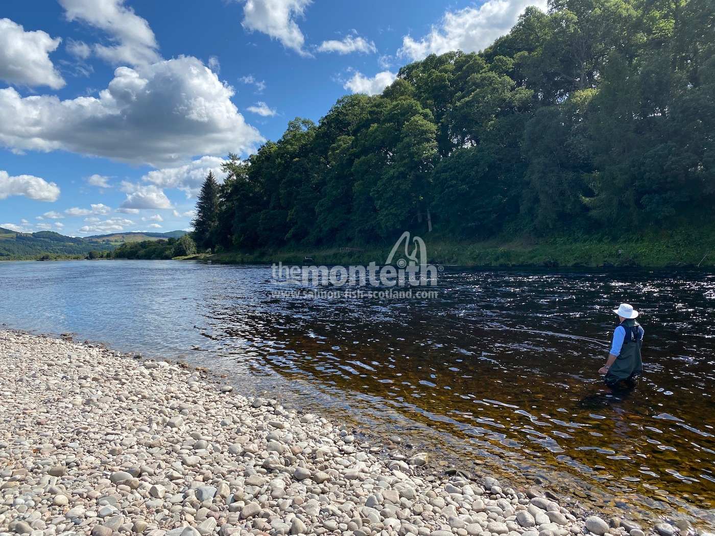 This fine shot is of the River Tay in Scotland shows a salmon angler out wading in the river with his double handed salmon fly rod. This easy to wade gravel bank is popular with salmon fishing guests who come to salmon fish on the Tay.