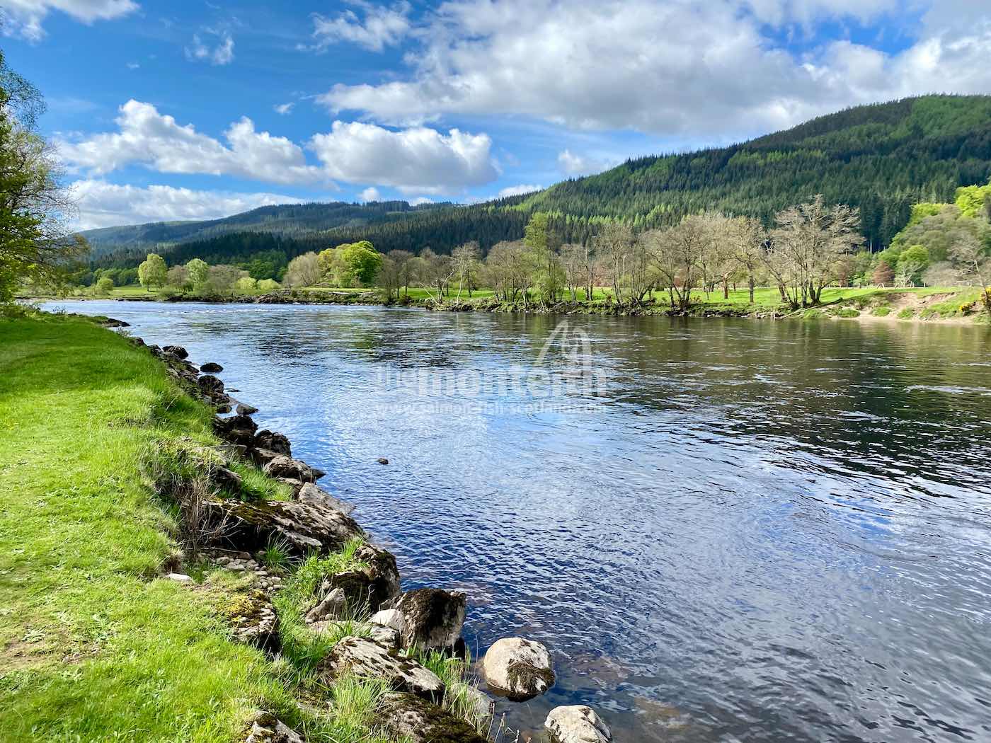 Dalmarnock