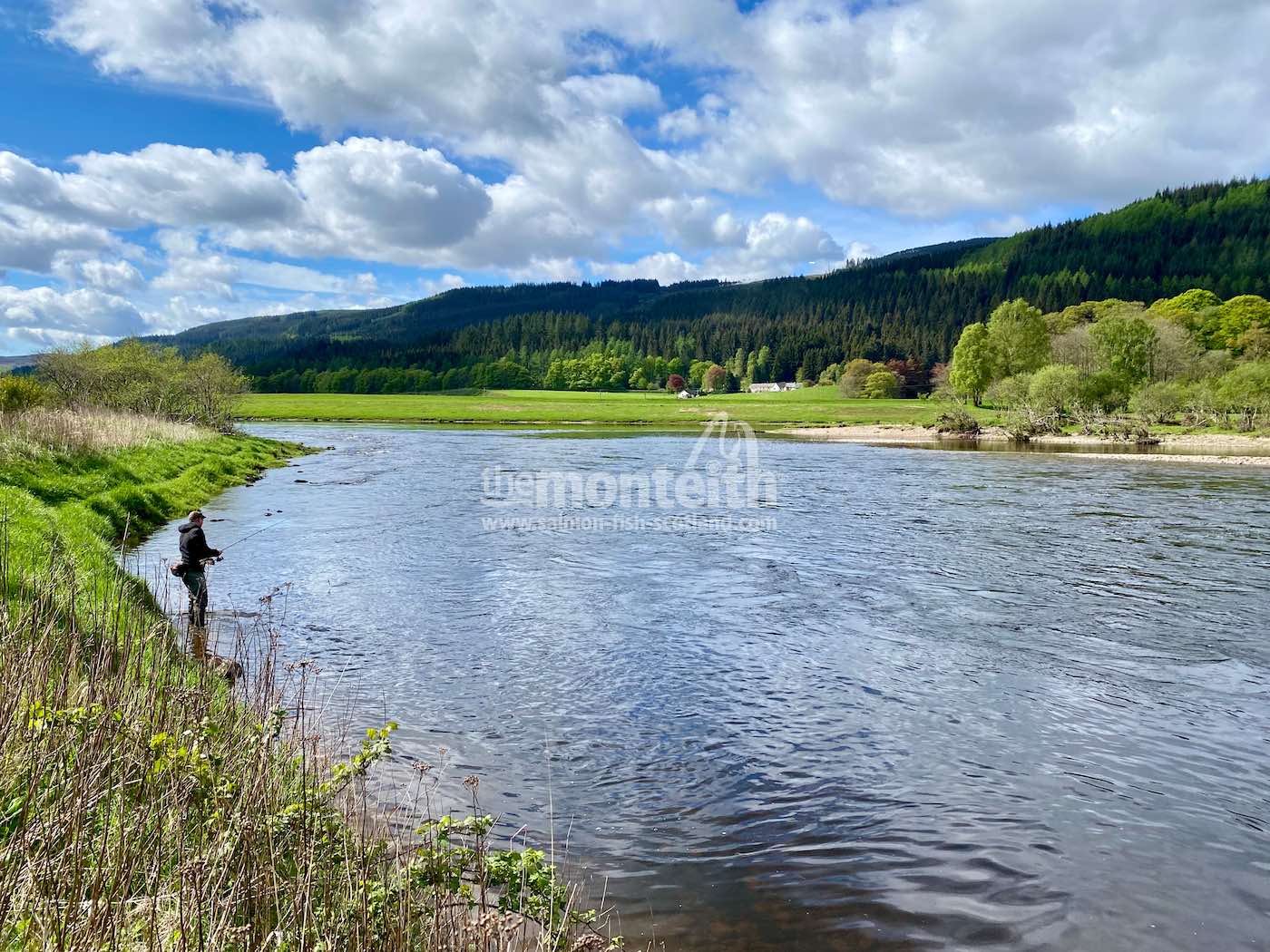 Dalmarnock