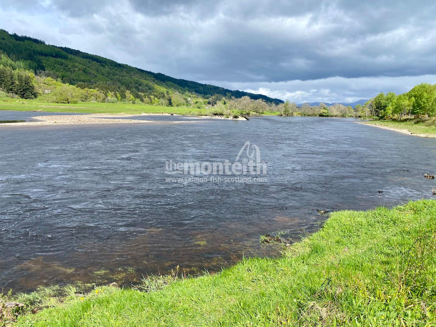 Dalmarnock