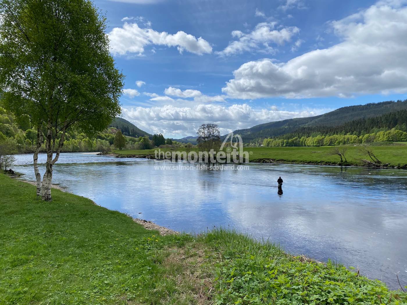 Dalmarnock
