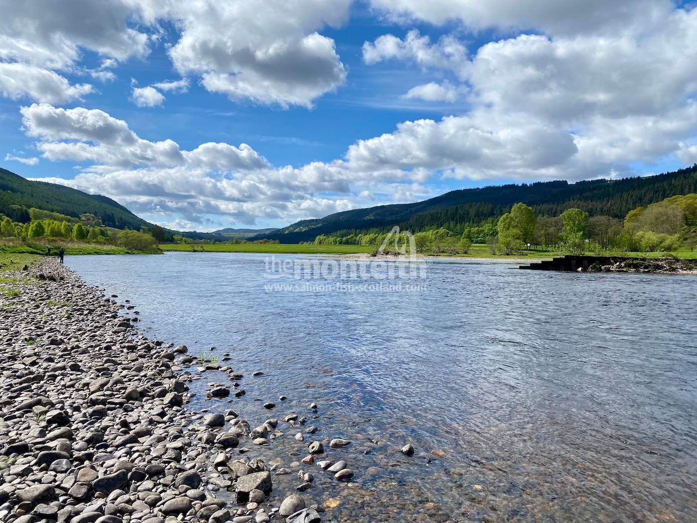 Dalmarnock