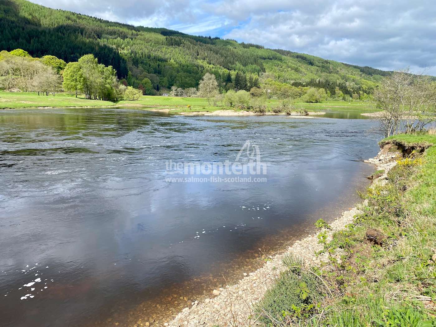 Dalmarnock