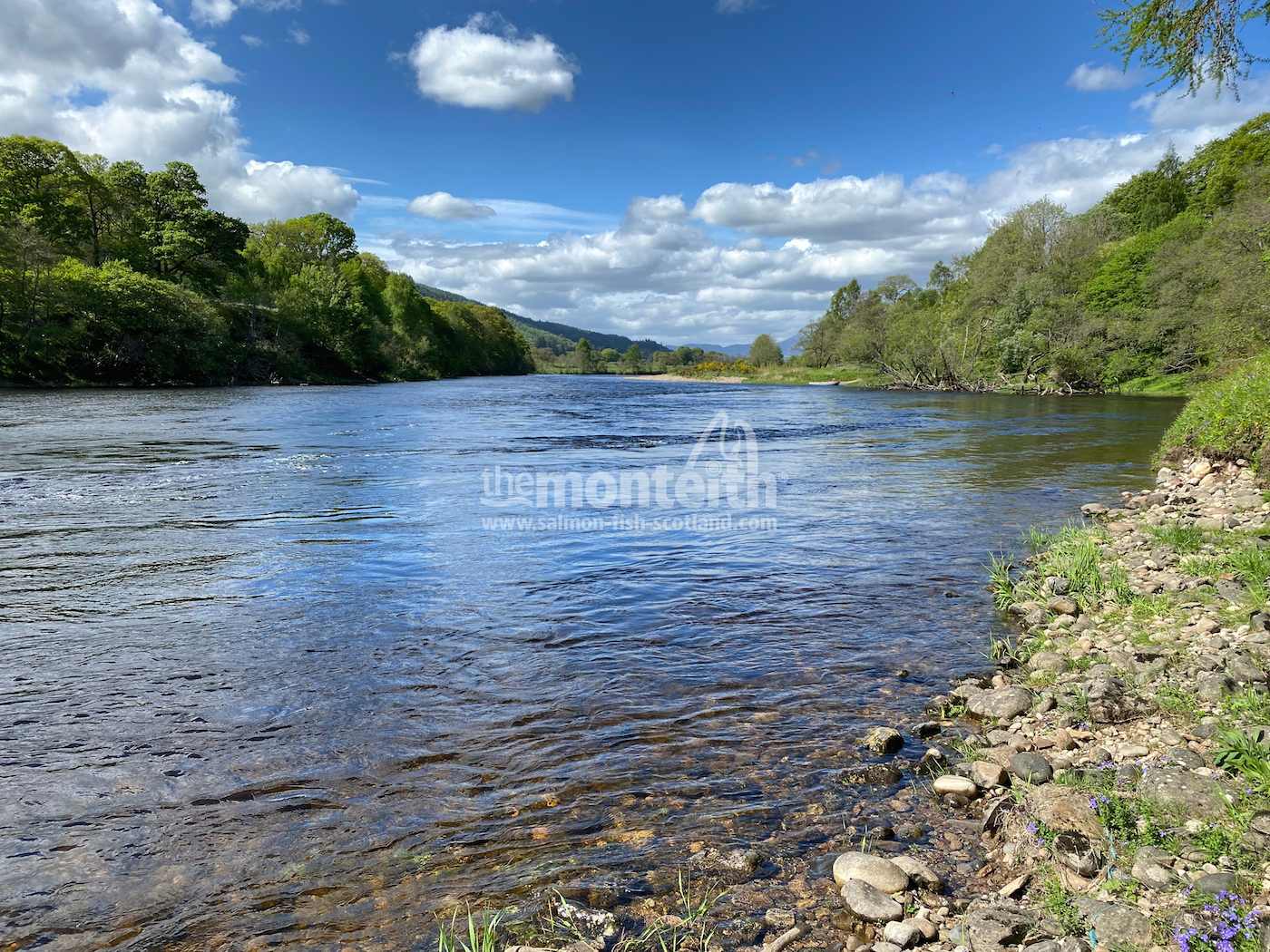 Dalmarnock Beat