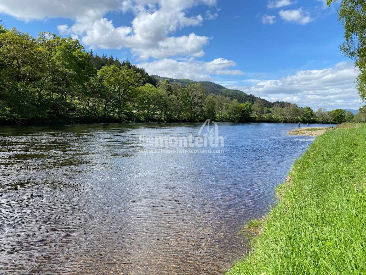 Dalmarnock Beat