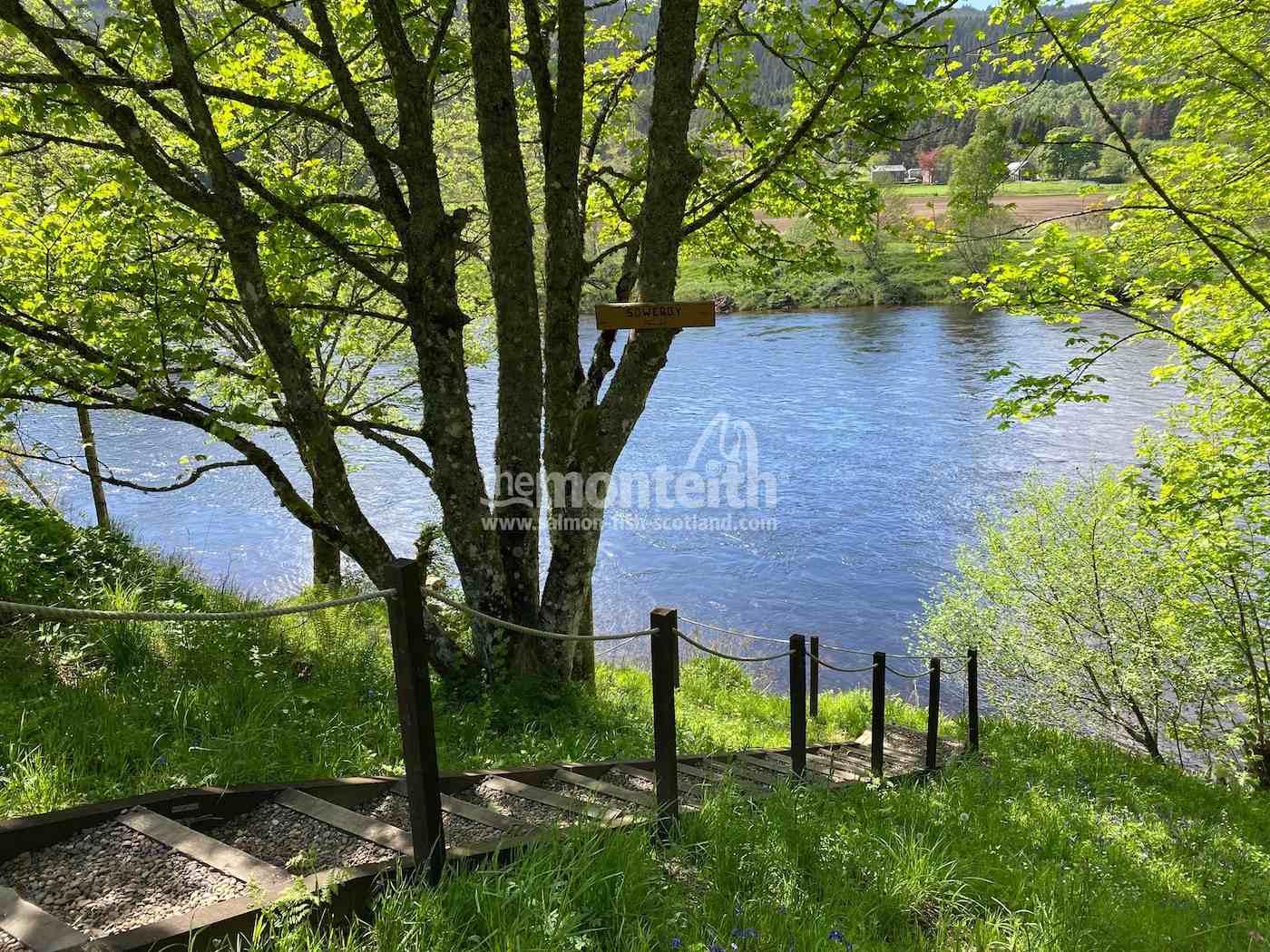 Dalmarnock Beat