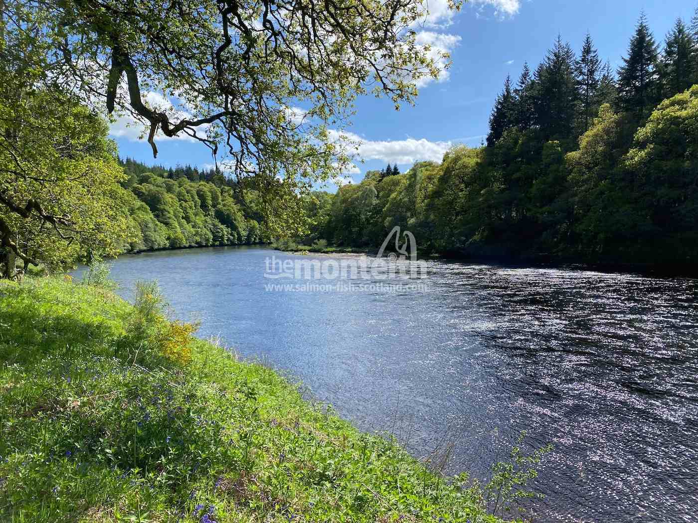 Dalmarnock Beat