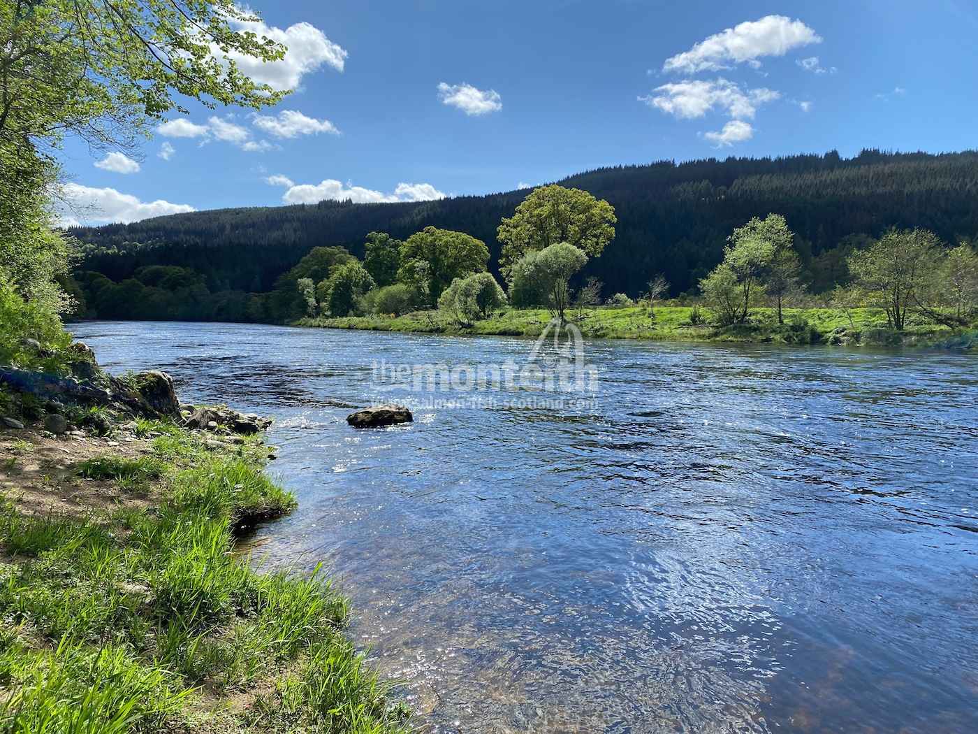 Dalmarnock Beat