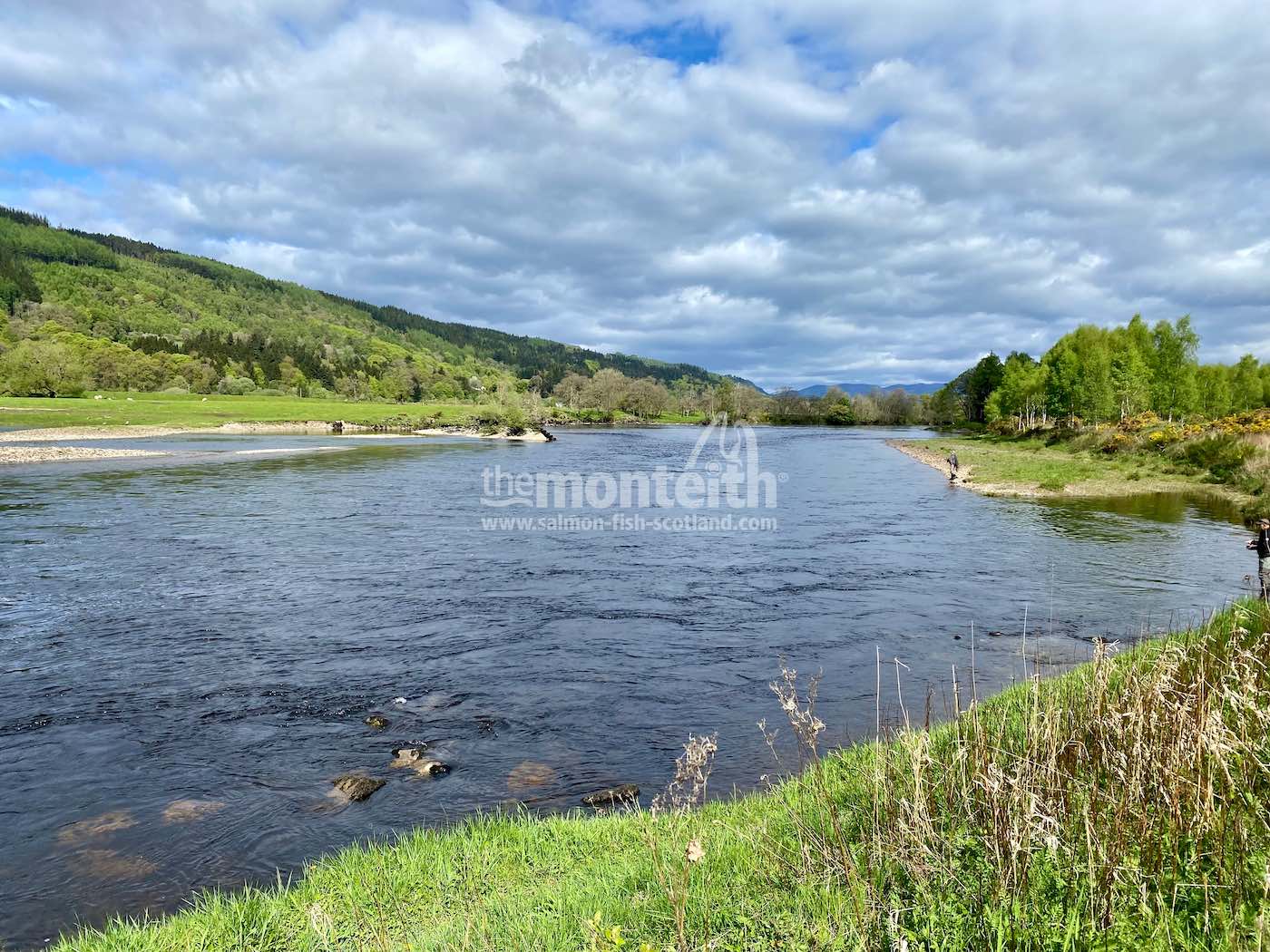 Dalmarnock