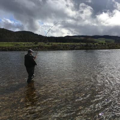 It's always best to try to get side on to a salmon when playing the fish. This salmon fishing holiday angler was playing this fish on the River Tay near Dunkeld. This salmon managed to get well below this salmon fisher which is not best practice as a side on position brings the fight to a far earlier close.