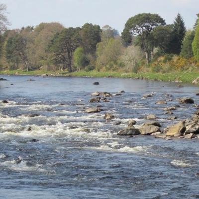 The River Dee