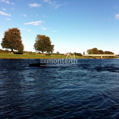 The famous Bargie Stone at the neck of the Boat Pool on the Glendelvine salmon beat of the River Tay.