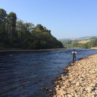 Here's a lovely upstream shot of the Lower Tummel salmon beat near Pitlochry with a salmon fishing tour guest trying out his newly taught Spey casting abilities. This lovely upstream shot was taken during early June which is a beautiful time of year to fish the Tummel. Moments after I took the shot this guided salmon fishing guest Martin Hunter hooked and landed his first ever salmon.