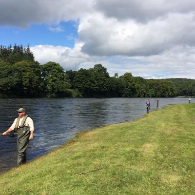 Here's a group of salmon fishing holiday guests testing out their newly learned Spey casting and riverbank movement techniques on the left bank of the River Tay's Cottar Pool on the Newtyle Beat. This perfect green grassy bank makes a perfect salmon pool for teaching salmon fishing guests.