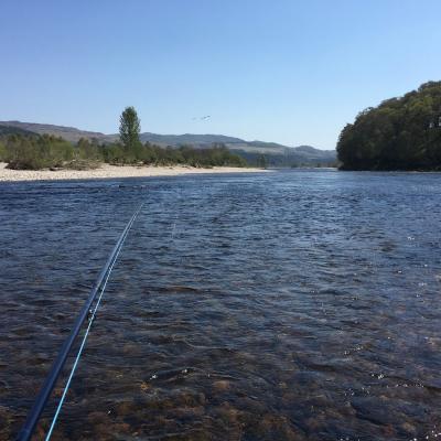 This floating salmon fly line is swinging around perfectly here into a renowned salmon lie on the River Tay near Dunkeld. The rod in the picture is my 16ft Bruce & Walker Spey casting rod which I've used as a professional salmon guide for over 20 years due to its perfect casting action.