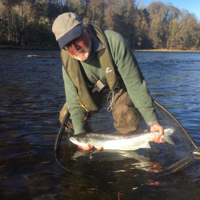 Here's salmon fisher Chris Blandford with a perfect fly caught River Tay Spring salmon which he caught near the Perthshire town of Stanley during March while I was his salmon fishing guide. The bright clear sky Spring sunlight illuminated this salmon's beautiful silver flanks for this perfect salmon capture shot which I took.