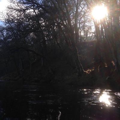 This early Spring sunlight shot was taken at the tail of the Upper Kinnaird Beat's Rock Pool during late January as the low Winter sun was flickering its rays through the leafless riverbank beech and oak trees. I took this shot while out fishing with a guest while serving as a River Tay salmon fishing guide & Head Ghillie.