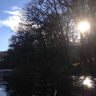 This early Spring sunlight shot was taken by myself at the tail of the Upper Kinnaird Beat's Rock Pool during late January as the low Winter sun was flickering its rays through the leafless riverbank beech and oak trees.