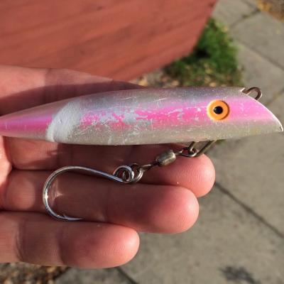 Here's one of my hard working trusted River Tay boat fishing lures which has performed numerous times over the years as you can see by its battered external condition. This is the pearly pink 4 inch Tomic Classic lure from Canada which is the only River Tay 'harling' lure required from January to the end of April each year. As a professional River Tay boatman having trusted effective lures like this are vital for success.