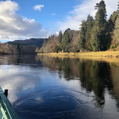 Here's a shot from the boat on the Dunkeld Beat of the River Tay in Perthshire. This Tay beat is a great high water beat for running salmon to stop at. This is an upstream shot of the Gauge Tree Pool.