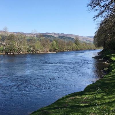 Here's a lovely River Tay salmon Pool known as Daffodil Lie which is a salmon fishing hotspot that's formed by a sub surface pile of riverbed stones that you can clearly see the surface disturbance from in this photograph. Salmon love to hold up in here and can be frequently caught by anglers who know this salmon lie and how to fish it. As a salmon fishing guide and tactical fishing instructor I know only too well the potency of this River Tay salmon lie hot spot..
