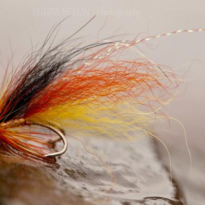 This Copperass pattern I designed as a hybrid of the famous Ally's Shrimp Cascade while working as a professional fishing guide on the River Tay. The only changes are a copper body with 2 strands of holographic gold tinsel tied into the wing and a lick of UV varnish on the copper body. The fur is Arctic fox which has far superior stream movement than the stiffer more rigid buck tail.