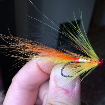 This Ally's Shrimp salmon fly hybrid with it's green pearlescent body is an absolute salmon magnet during duller salmon fishing days and especially if tied with Artic fox fur in the tail & wing as you see here. On an overcast day this fly has serious presence in the stream and often cannot be ignored by salmon.