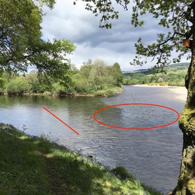 The red line represents the go no further point while approaching the perfect salmon lie at the mouth of the River Tummel near Dunkeld. I placed white coloured pizza shaped flat stones in the same line so anglers can clearly see where not to wade beyond while wading. This is the detail a professional salmon guide will go to to assist his fishing guests to catch salmon.