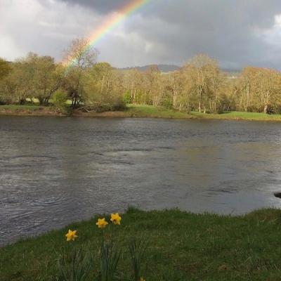 When you see a biggish bunch of daffodils on any Scottish riverbank realise they are not there naturally and someone has planted them there for a reason. On a salmon river that reason will almost certainly be to mark one of the salmon beat's Spring salmon lies as you can clearly see here on the River Tay near Pitlochry. Daffodils with a beautiful rainbow hovering overhead is a sign from our Salmon God there's a fish there in need of a fly!
