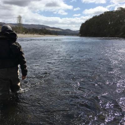 This guided salmon fishing trip guest came to learn how to wade properly & safely in the River Tay and to brush up on his general salmon fishing tactical approach. The gravel bank in the distance is where the River Tummel enters the Tay which is a great area for intercepting salmon which is not too far away from the Perthshire town of Pitlochry.