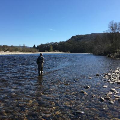 Look at the nice streamy water that starts to fade out 100 yards downstream of where this River Tay salmon fishing holiday fisherman is positioned. Salmon will briefly stop there before pushing on up through the streamy water above. Now you'll start feeling like you can sense the presence of salmon once you can identify their likely holding areas.