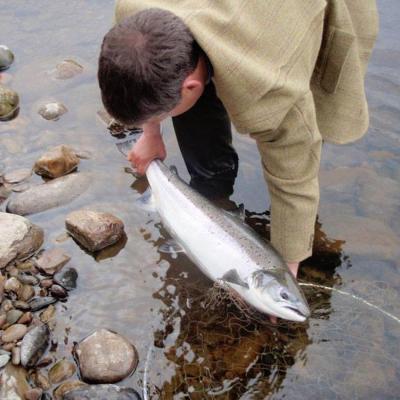 I was fortunate to be invited to contribute quality footage for this popular TV programme series back in 2007. We managed to stop 2 perfect Spring salmon that day in front of the TV cameras which propelled my ghillie career and the profile of the Newtyle Beat where I worked. This programme is still occasionally being aired after all of these byears due to its viewership popularity. This fine fish was one of these Spring fish and was captured at The Trap Pool on the fly.