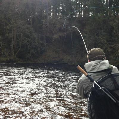 Here's a salmon fishing angler mastering the power stroke which is the final part of the 3 stage Spey cast. This shot was taken by myself while serving as a salmon fishing guide at the neck of the Rock Pool on the Lower Tummel Beat of the River Tummel not too far away from the Perthshire town of Pitlochry.