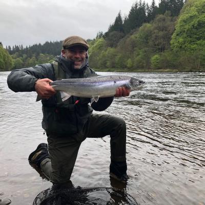 Here's a fine Spring salmon which was landed by this happy salmon angler after a full day of searching. This salmon was landed during May at Dunkeld which is a popular Spring salmon fishing area of the River Tay in Perthshire. You can see the new leaves that have appeared on the riverbank trees behind this fisherman.